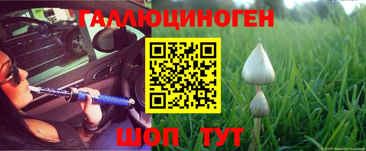 Галлюциногенные грибы Cubensis  Галлюциногенные грибы Psilocybine cubensis  Артём  Вход с VPN 
